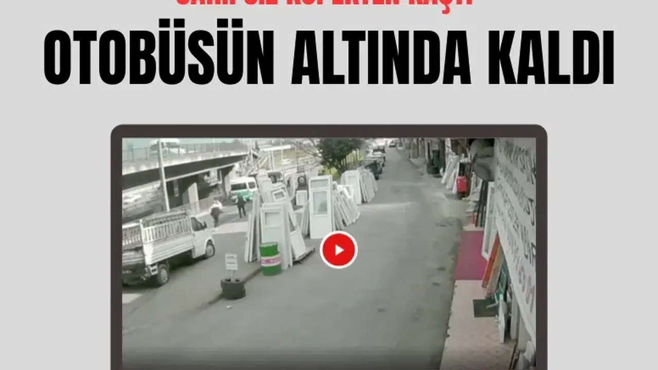 Trabzon’da sahipsiz köpekten kaçan üniversite öğrencisine otobüs çarptı