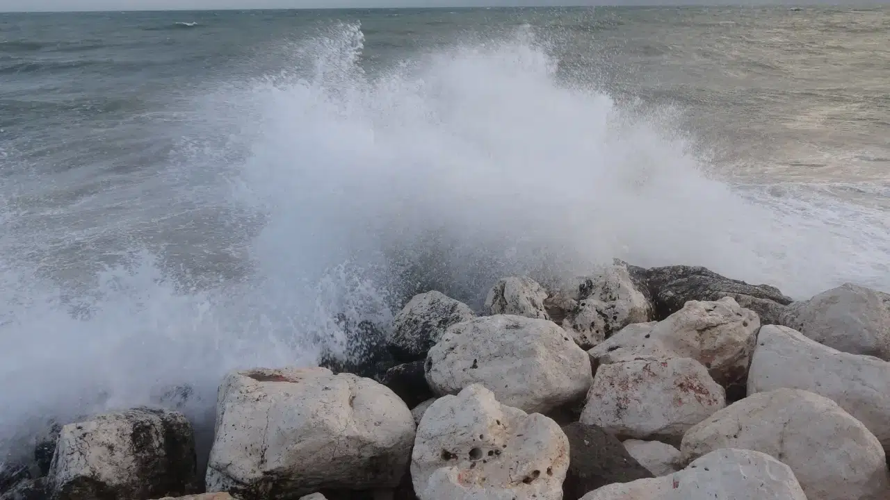Mersin’de balıkçılar neden denize açılamadı, Akdeniz’de fırtına ve sağanak balıkçılığı nasıl etkiledi?