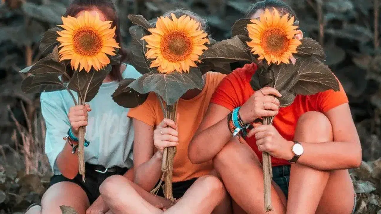 KÜRTÇE ARKADAŞ SÖZLERİ VE ANLAMLARI!  Aşk içerikli Kürtçe sözler ve WhatsApp durumları Türkçe anlamlarıyla