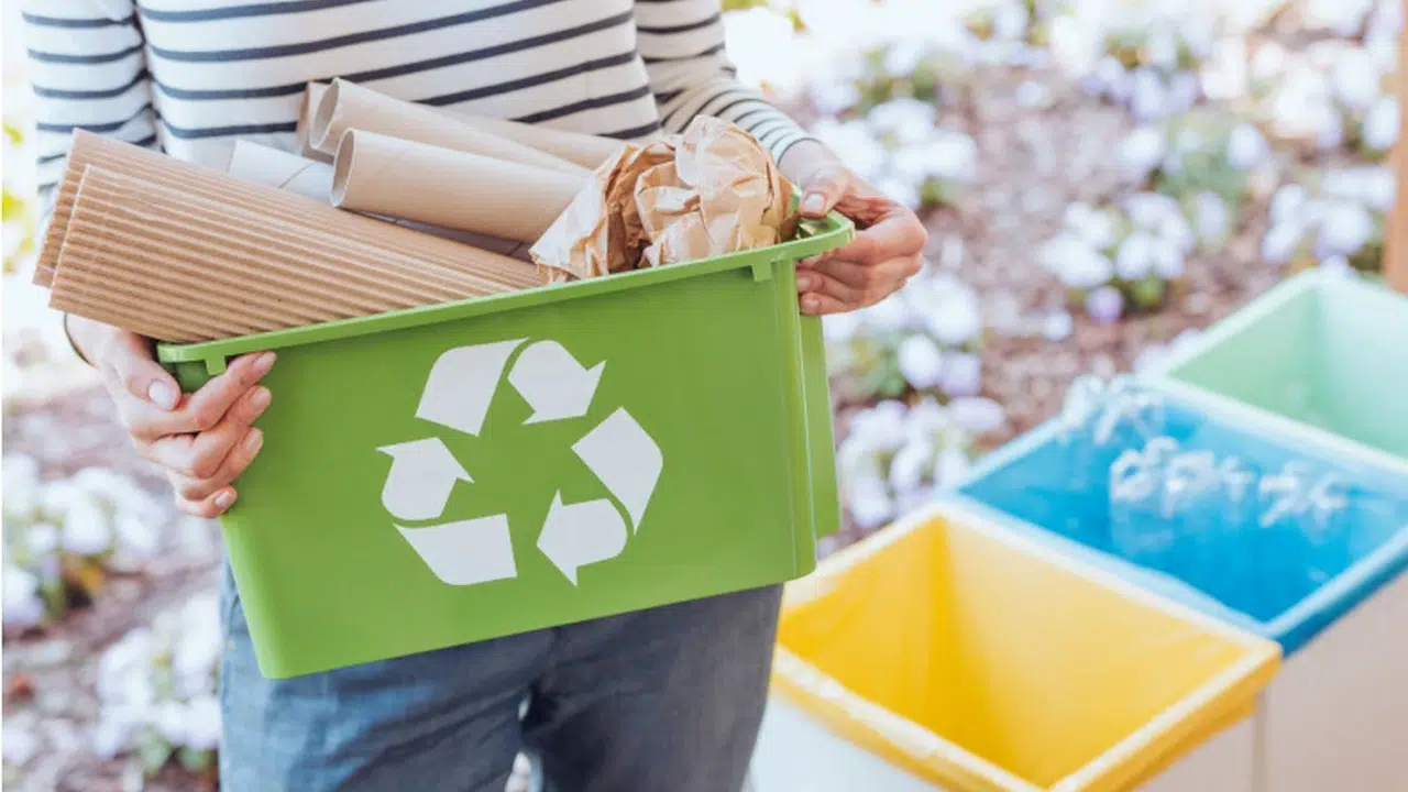 GERİ DÖNÜŞÜM NE DEMEK? Geri dönüşüm birleşik kelimesinin TDK sözlük anlamı nedir?