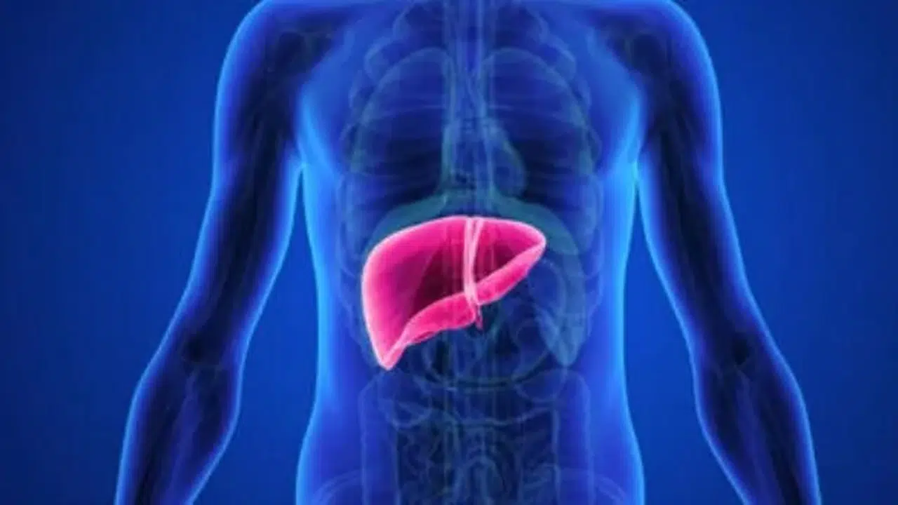 KARACİĞER BOYUTU 160 MM NEDİR? Normal mi, Sağlık Durumu ve Riskleri Nelerdir?