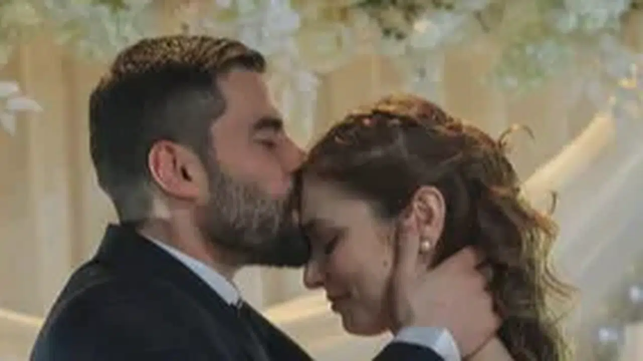 VELİAHT DİZİSİ BİTECEK Mİ?