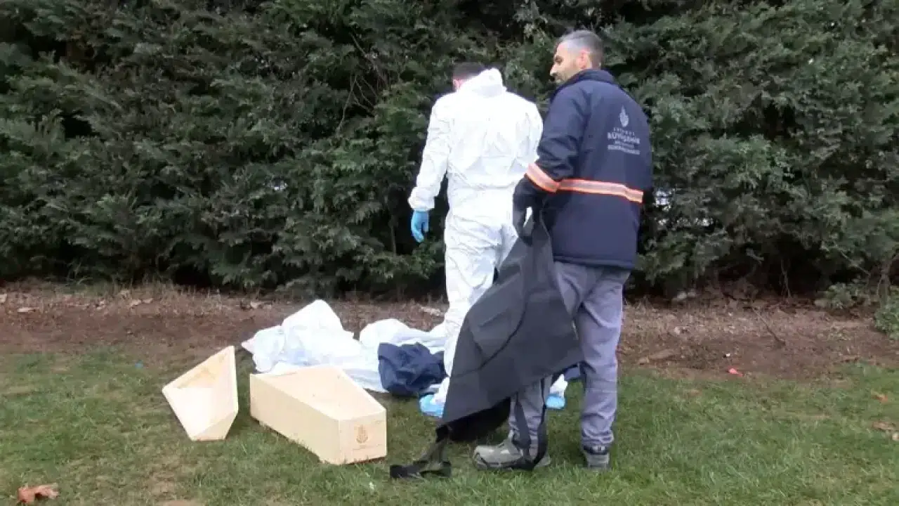 Sancaktepe’de Tüyler Ürperten Olay: Yeşillikte Yeni Doğmuş Bebek Cesedi Bulundu!