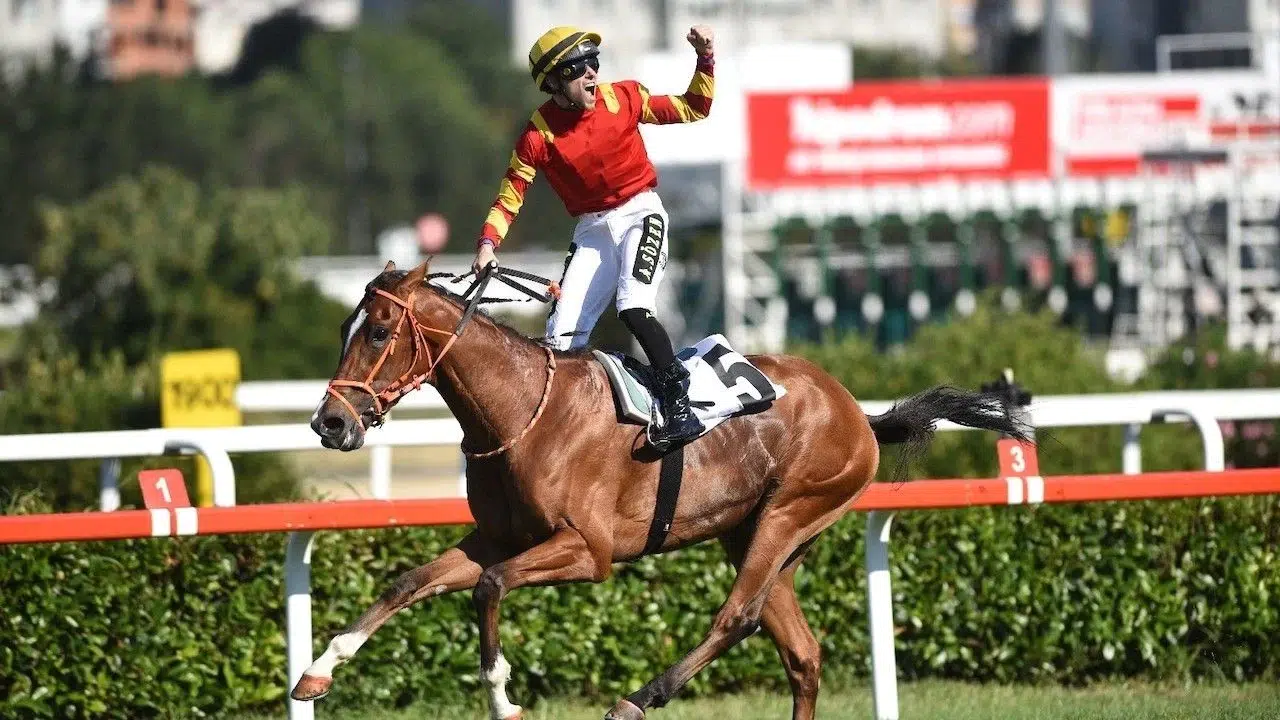 Database sahibi kim, Emrah Agun kimdir, ne iş yapıyor, kaç yaşında, antrenörü kim, mesleği ne, ne iş yapıyor?