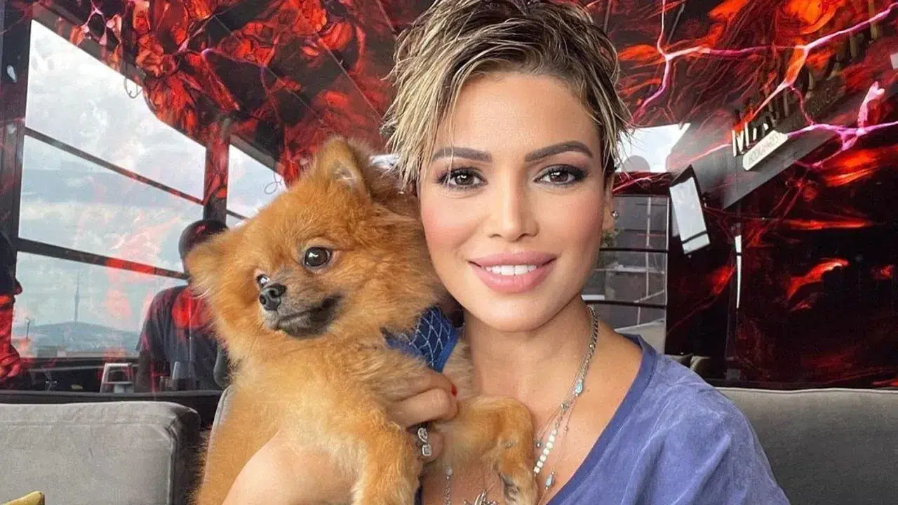 Didem Taslan Evli Mi, Eşi Kim, Sevgilisi Var Mı? Miss Turkey Derecesi, Boyu Kilosu ve TV Dizileri