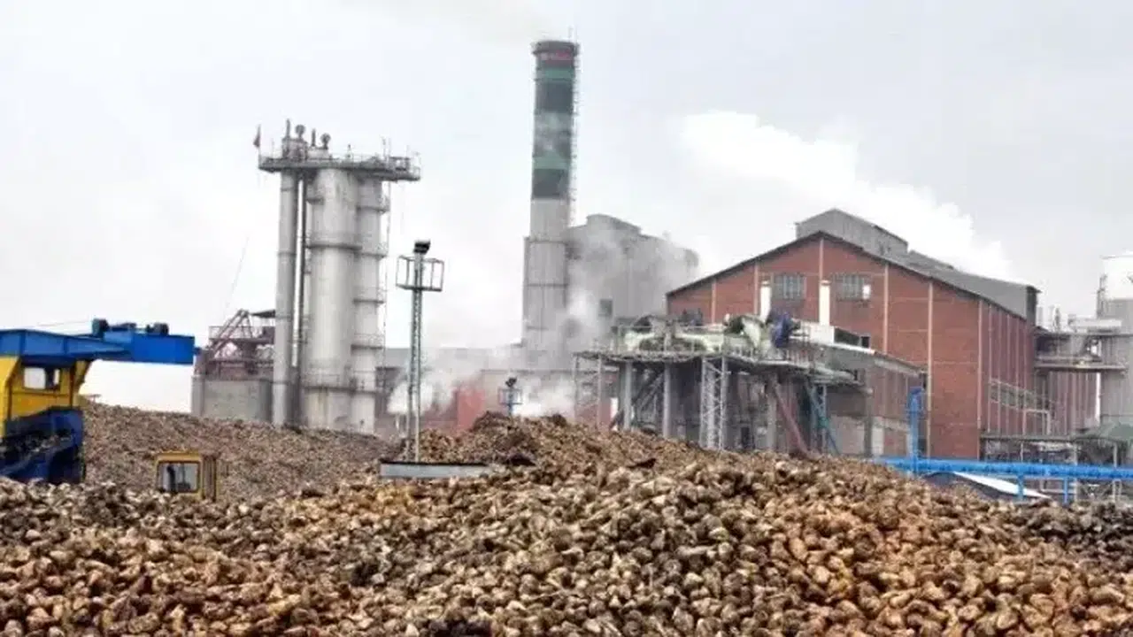 YILDIZ HOLDİNG'İN FABRİKASI KİME SATILIYOR! Adapazarı Şeker Fabrikası’nı hangi şirket satın alıyor?