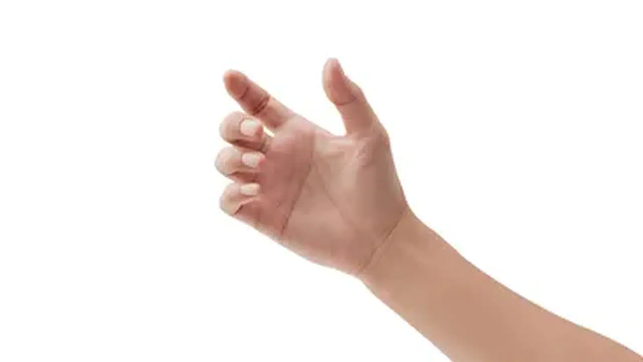 EL KELİMESİNİN EŞ ANLAMI NEDİR! El yerine hangi kelimeler geçebilir, farklı anlamları nelerdir?