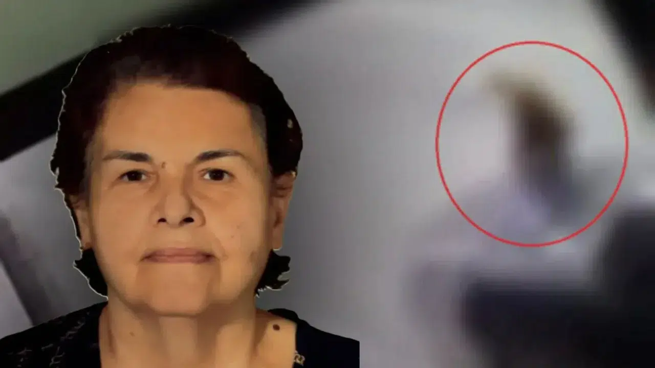 GÖNÜL ERİŞ KİMDİR VE HAYATI! Kaç yaşında, ölüm nedeni, kaza mı geçirdi, kim çarptı?