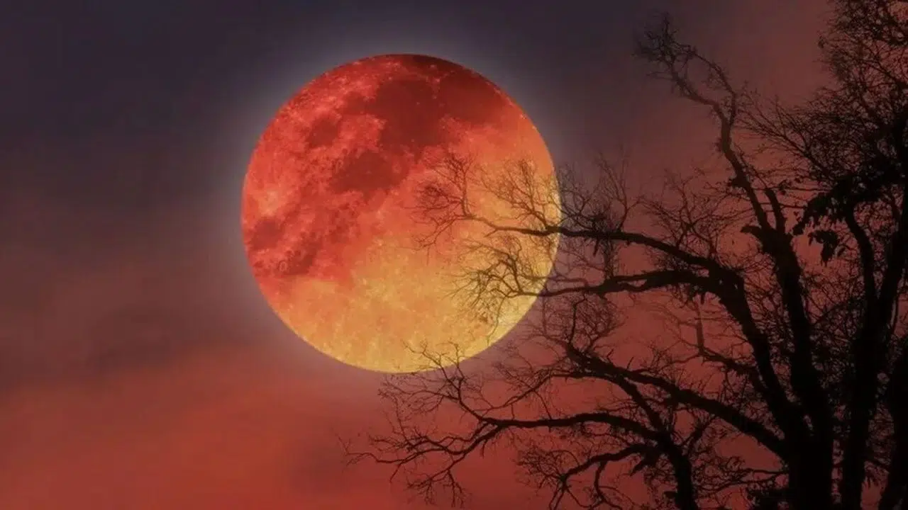 KANLI AY TUTULMASI 2026 TÜRKİYE İZLEME YERLERİ, Nereden görülür, NASA izleme linki var mı?