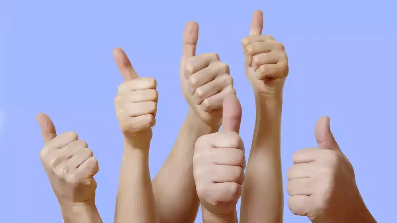 SAĞ EL BAŞ PARMAK SEĞİRMESİ MARİFETNAME!