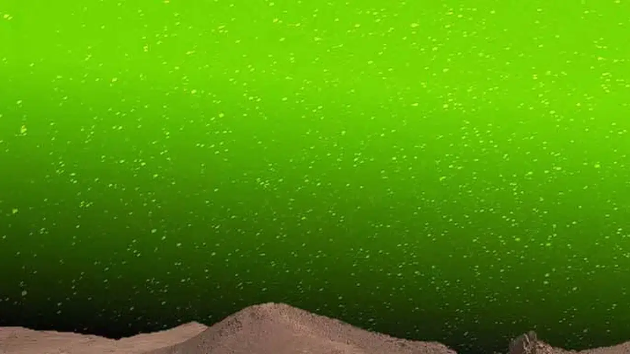 MARS YEŞİL GÖKYÜZÜ MÜ! Mars’ta Yeşil Parıltı Nasıl Oluşuyor?