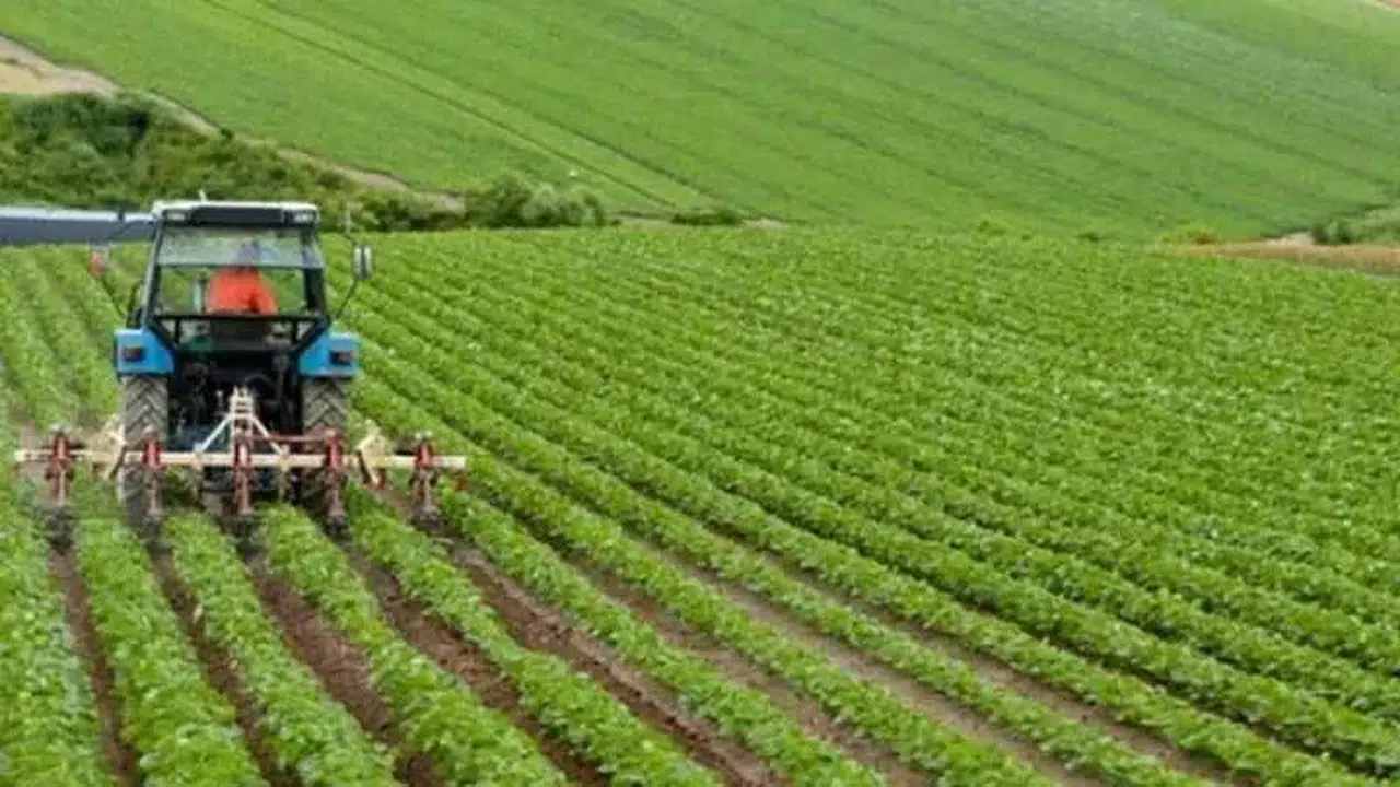 ŞANLIURFA’DA EN ÇOK NE YETİŞİR!