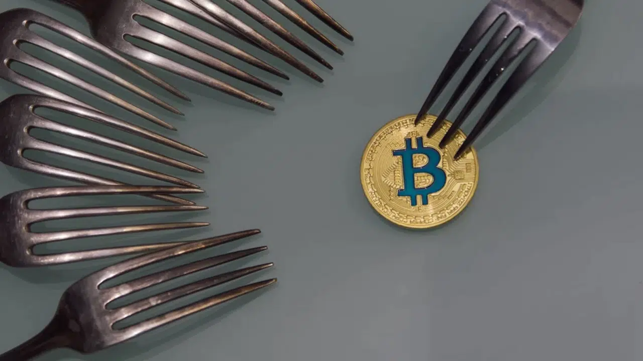 HARD FORK NE DEMEK? Kripto para piyasasında hard fork nedir, neden olur ve fiyatları nasıl etkiler?