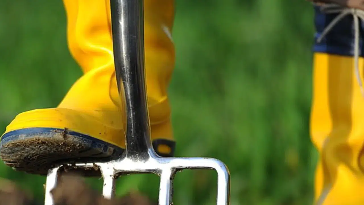 SARI ÇİZMELİ MEHMET AĞA KİMDİR! Gerçekten yaşamış mı, Barış Manço bu şarkıyı neden yazdı?