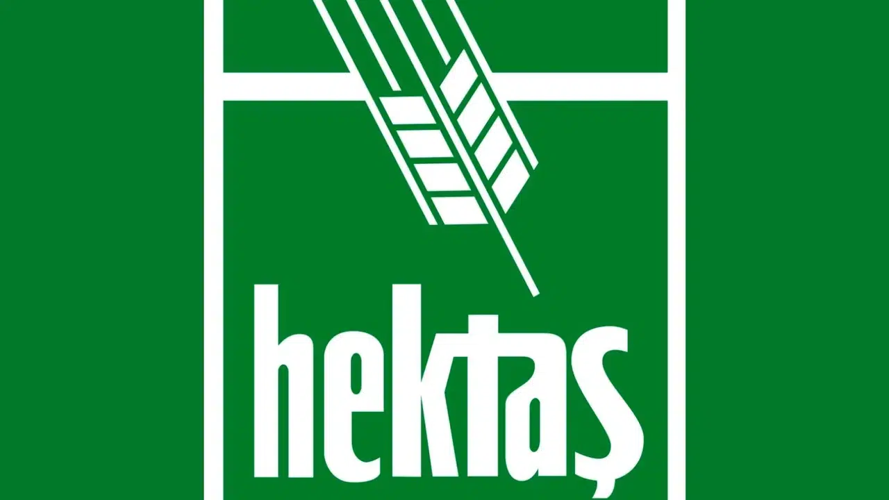 HEKTAŞ NE ÜRETİYOR! Kritik seviyeler neler, Hektaş hisse yükselecek mi?