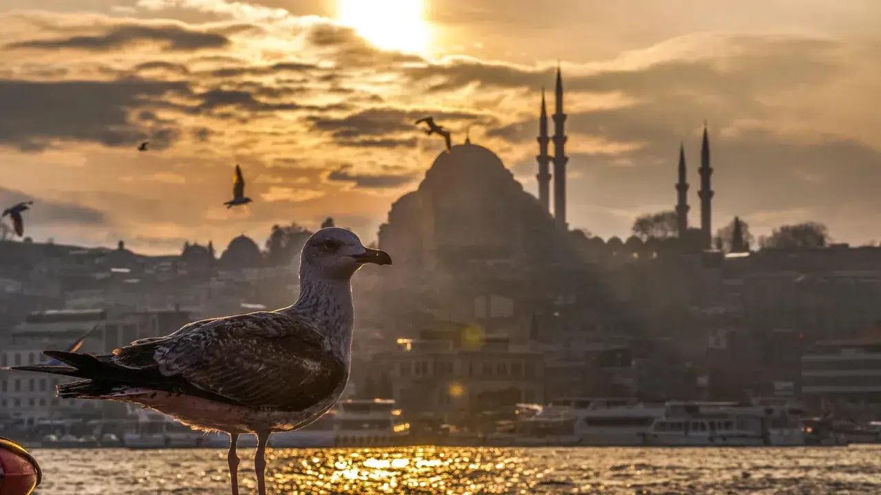 METEOROLOJİ’DEN KRİTİK UYARI! Bahar Aylarında Sıcaklıklar Normallerin Üzerinde Olacak