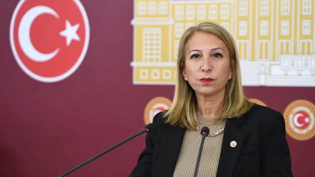 Süreyya Öneş Derici Kimdir, Nereli, Kaç Yaşında, Hangi Partiden, Muğla Milletvekili Mi, TBMM Görevi Nedir, Bürokrasi Geçmişi ve Siyasi Kariyeri