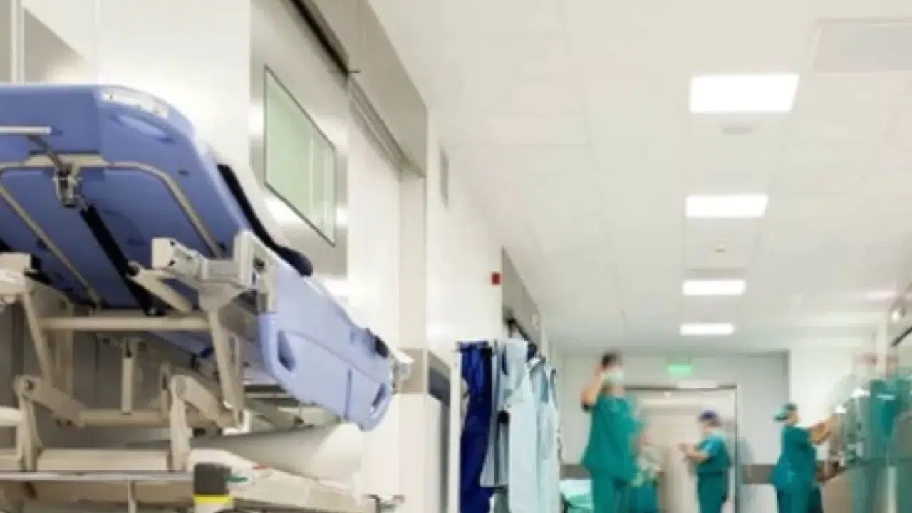 İŞKUR 2026 HASTANE TIBBİ SEKRETER ALIMI BAŞVURUSU! Ne zaman, yaş ve eğitim şartı nedir, hangi şehirlerde ilan var, özel sektör alım yapıyor mu?