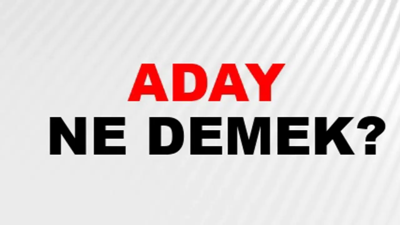 ADAY KELİMESİNİN ANLAMI NE? Aday ne demek, kelime anlamı ne, eş anlamlısı nedir?
