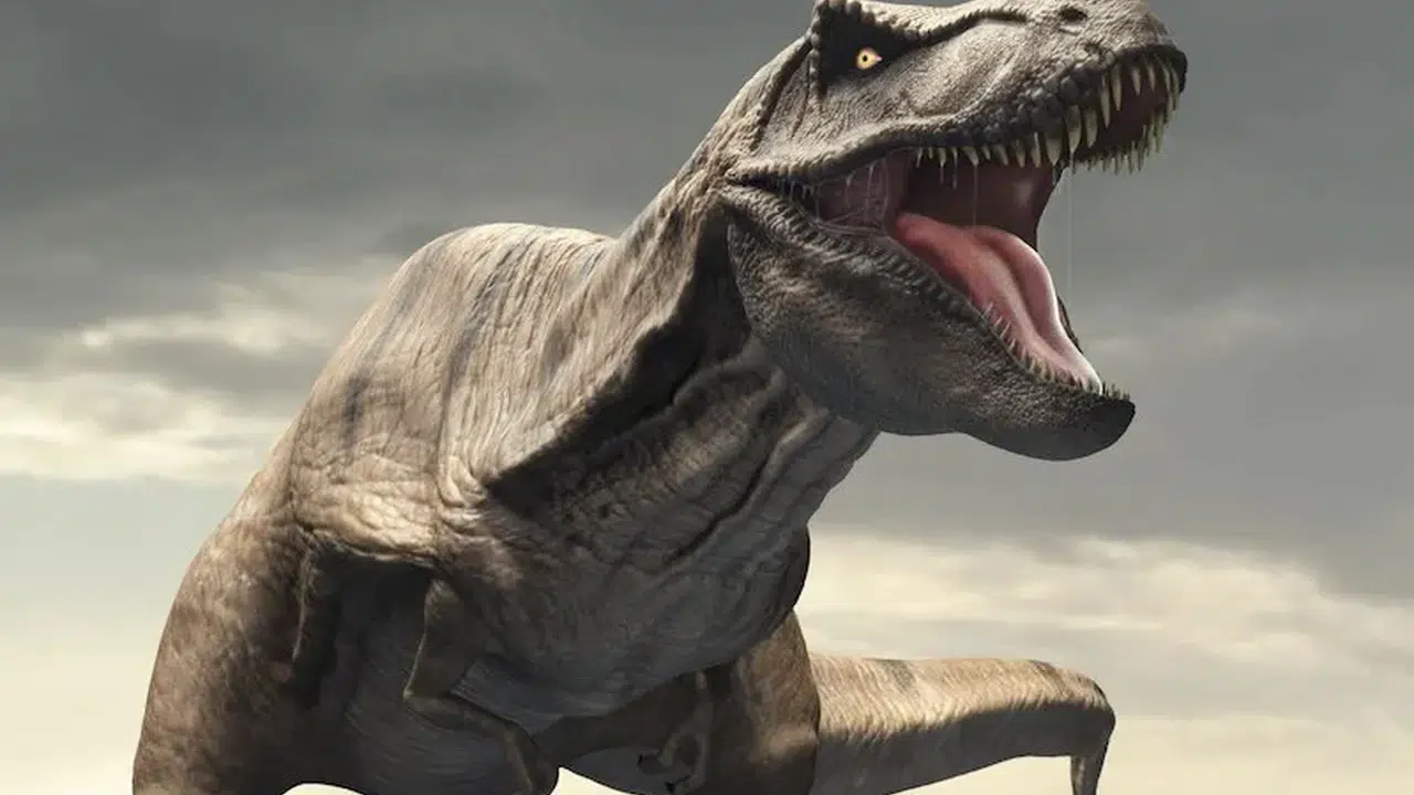 GERÇEK TREX! T-Rex Gerçekten Zeki miydi, Tyrannosaurus Rex’in Beyin Yapısı ve Dinozor Zekâsı Hakkında Yeni Araştırma Ne Söylüyor?