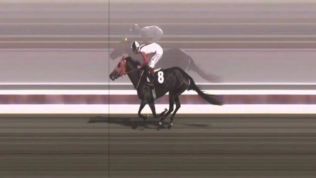 SMART LATCH YARIŞ ATI KİMİN, SAHİBİ KİM?? Mersin’de kavurma yapılan Smart Latch atının sahibi Suat Topçu kimdir?