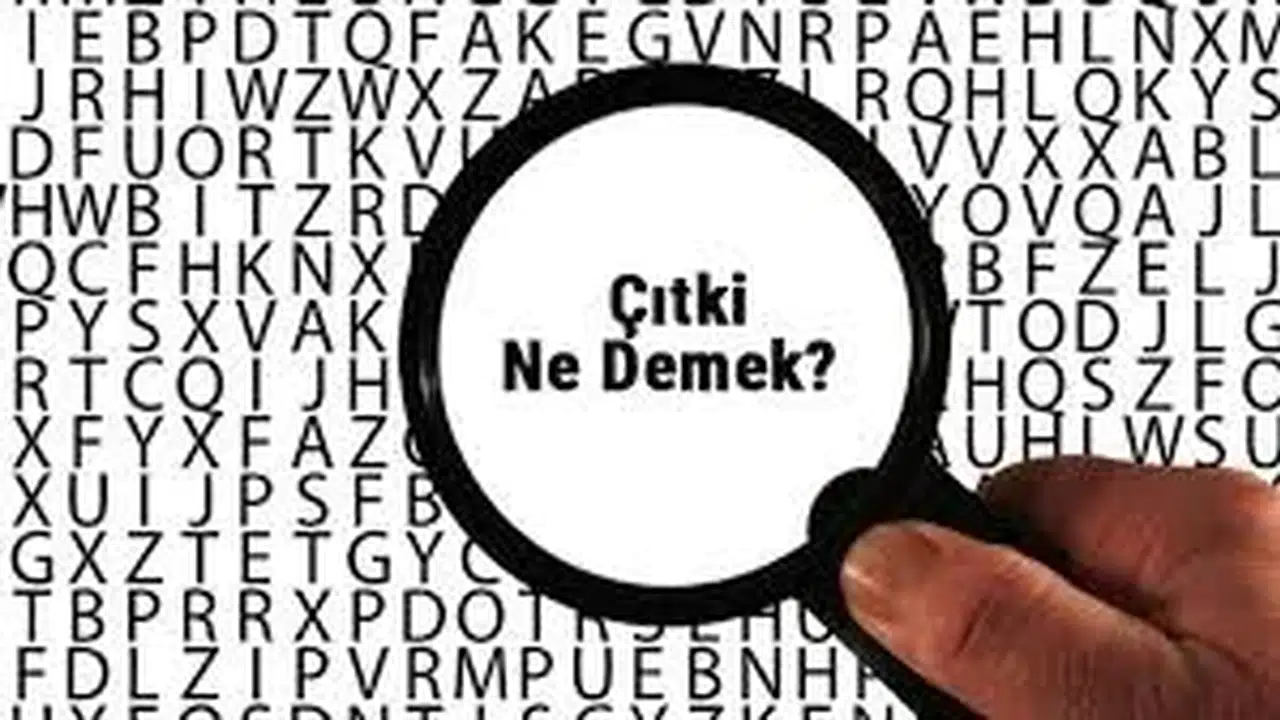 KÜRTÇE ÇİTKİ NE DEMEK! Tu çi dikî ne anlama geliyor, Türkçe çevirisi nedir?