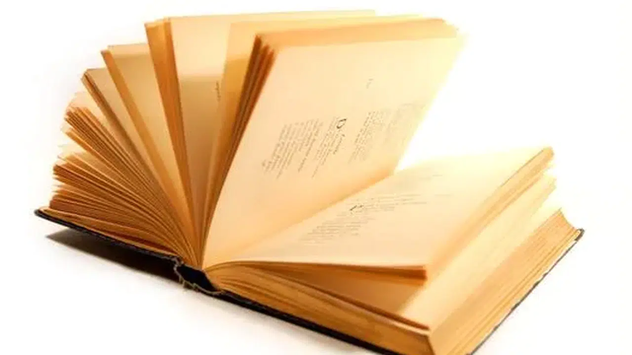 OLURUNA BIRAKMAK NE DEMEK? Oluruna bırakmak deyimi TDK sözlük anlamı nedir, neyi ifade eder?