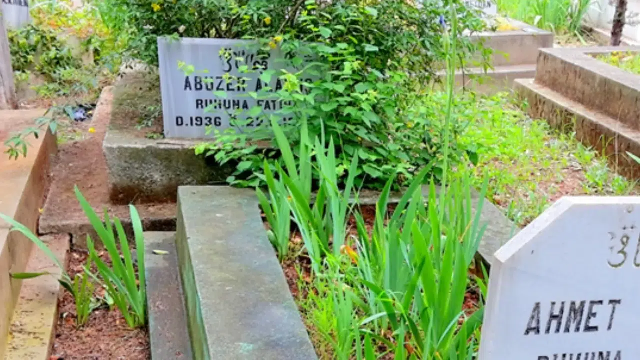 MEZARA MERSİN NİYE KOYULUR! Anlamı ve kökeni ne, arefe günü neden yapılır?