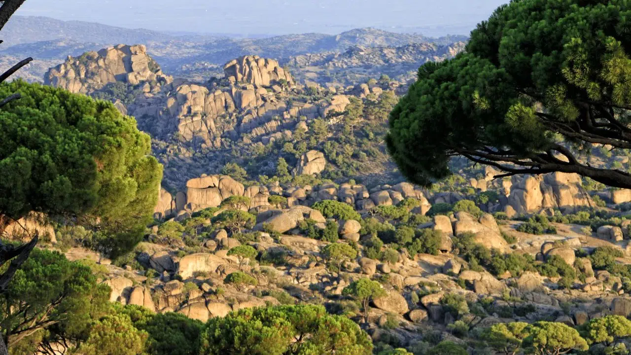 TRT Belgesel Dağ Gibi Nerede Çekildi, Hangi Şehirde, Ne Zaman Yayınlandı?
