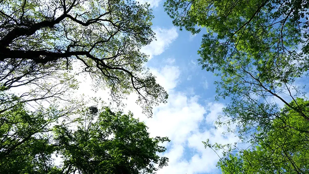 KIRKLARELİ HAVA DURUMU 18 MART 2026! Bulutlu Hava, 9°C Sıcaklık, Yağış ve Rüzgar Detayları...