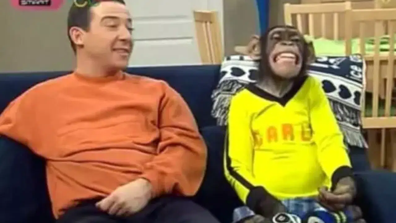ÇARLİ GERÇEK Mİ? 90’lı Yıllara Damga Vuran Çarli Dizisindeki Maymun Çarli Şimdi Ne Yapıyor?