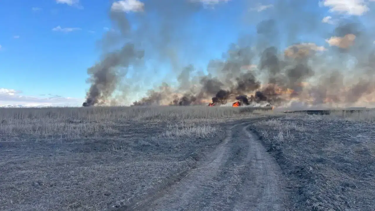 SULTAN SAZLIĞI MİLLİ PARKI NEDEN YANDI! Söndürüldü mü, yangın büyüdü mü?