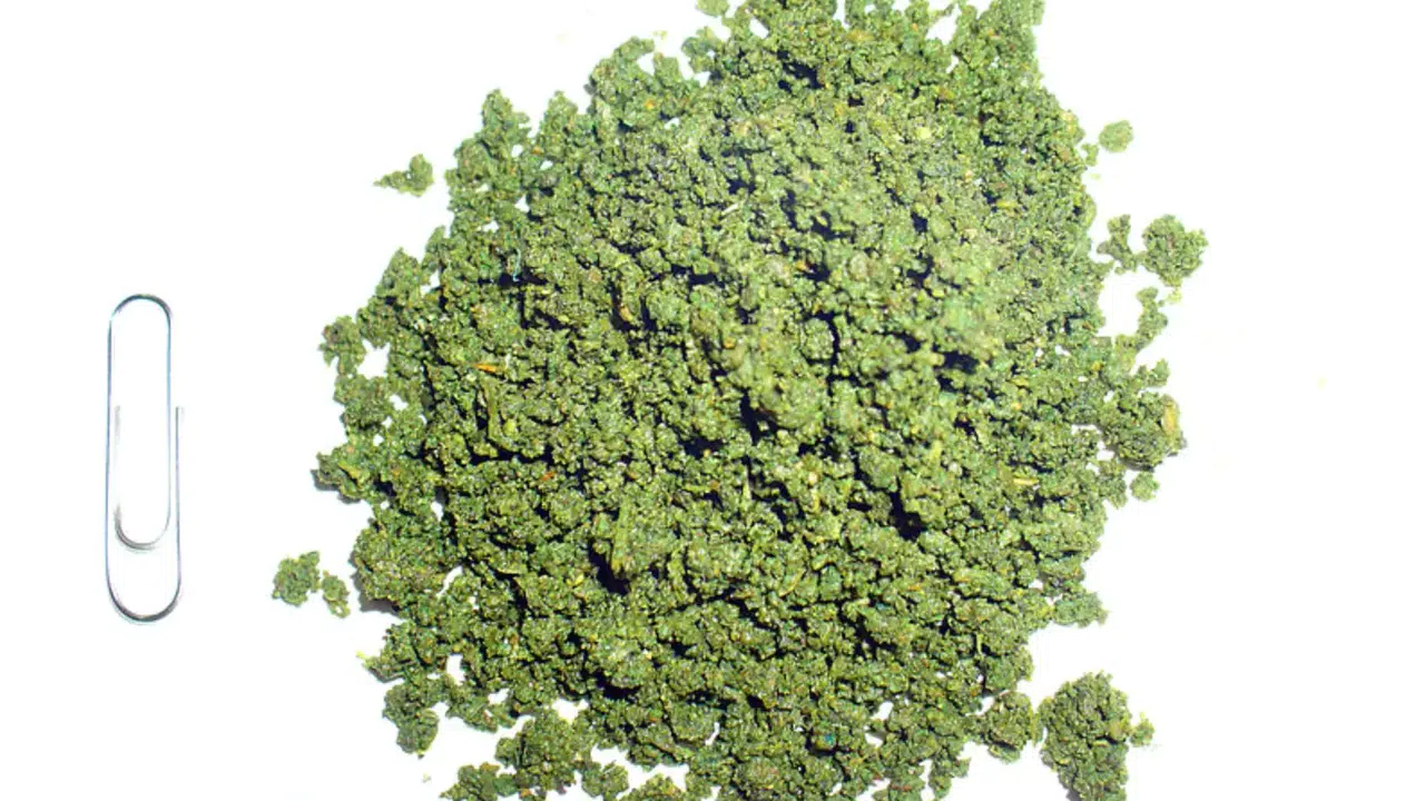 NAS OTU NEDİR! Türkiye’de Neden Yasaklandı, Nasvar Zararlı mı, Kanser Yapar mı, Uyuşturucu mu?