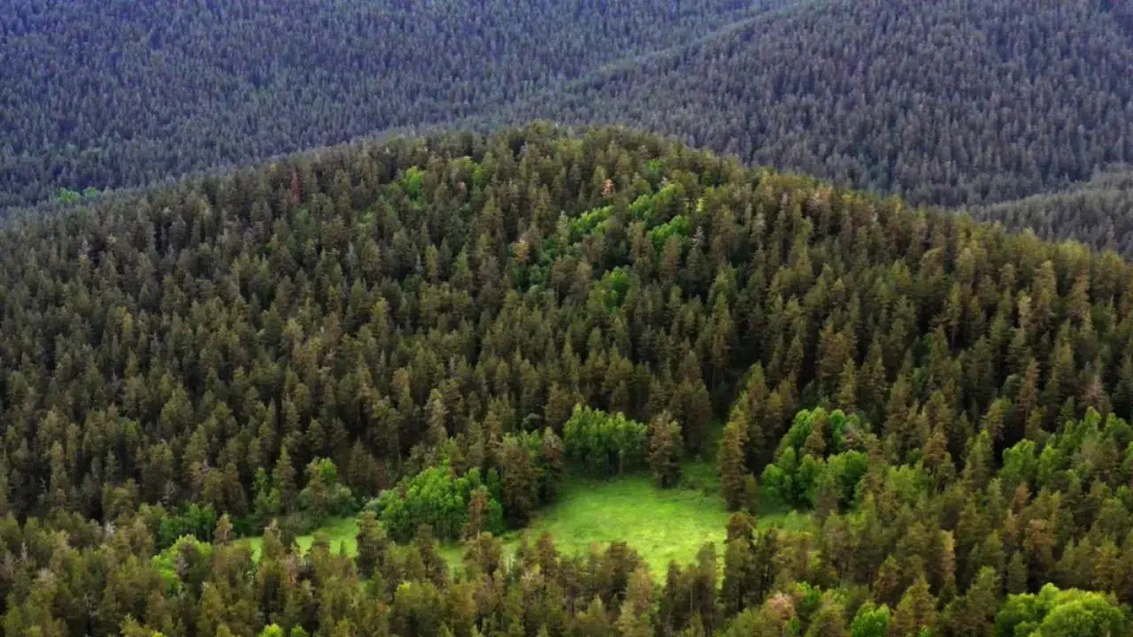 Milli Parklar İçin Yeni Yasa Kabul Edildi! Denetim ve Koruma Yetkileri Artıyor