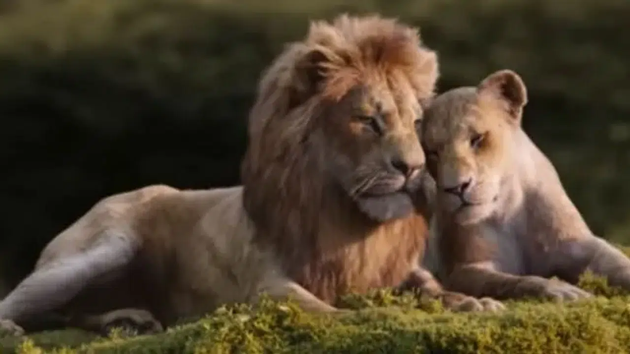 THE LION KING FİLMİNDEKİ GİZLİ DETAYLAR NELER? Scar’ın yara izi nasıl oluştu, Simba ve Nala teorisi gerçek olabilir mi?