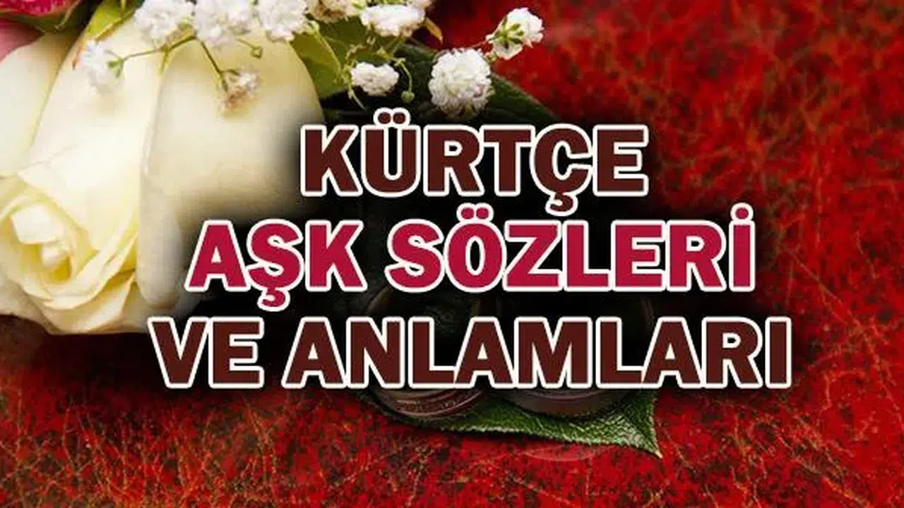 KÜRTÇE SÖZLER KISA!  Kürtçe Atasözleri ve Deyimler, En Çok Sevilen Cümleler, Aşk İçerikli Kürtçe Özlü Sözler ve Türkçe Anlamları Neler?