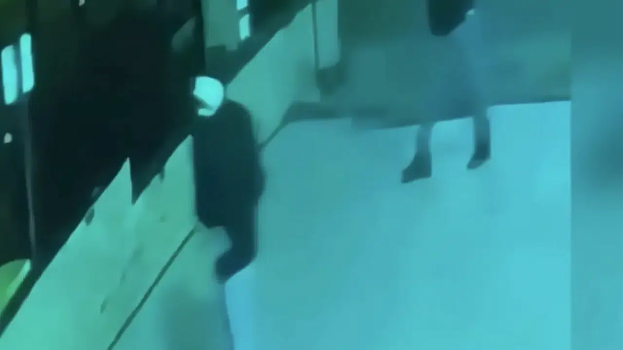 Etiler’de korkunç plan ortaya çıktı: ‘Biz yakarsak söndüremezler’