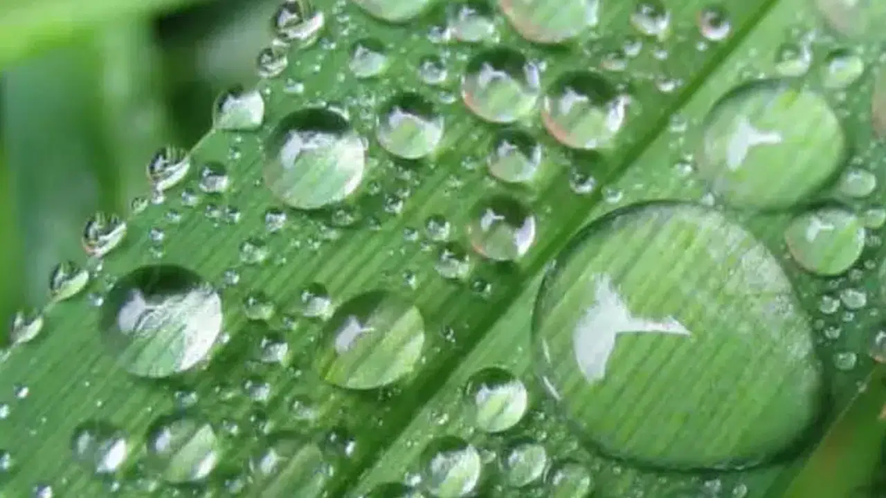 3. Cemre Ne Zaman Toprağa Düşecek, Hangi Gün, 2026 Cemre Takvimi Ne?