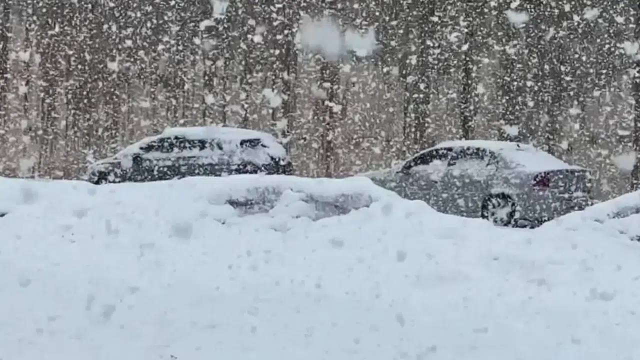 23 MART HAKKARİ'DE OKULLAR TATİL Mİ! Kamu çalışanları izinli mi?