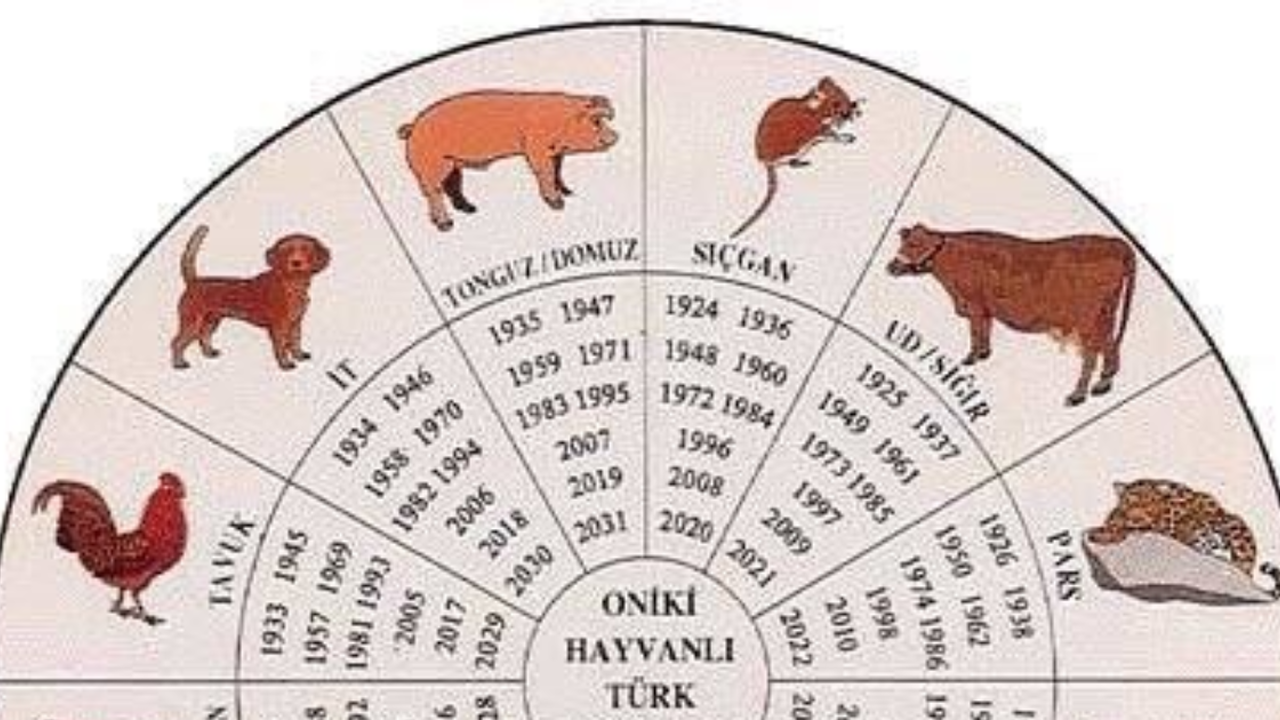 12 HAYVANLI TÜRK TAKVİMİ HESAPLAMA! Hangi hayvan yılları vardır ve Türkler bu takvimi ne zaman kullandı?