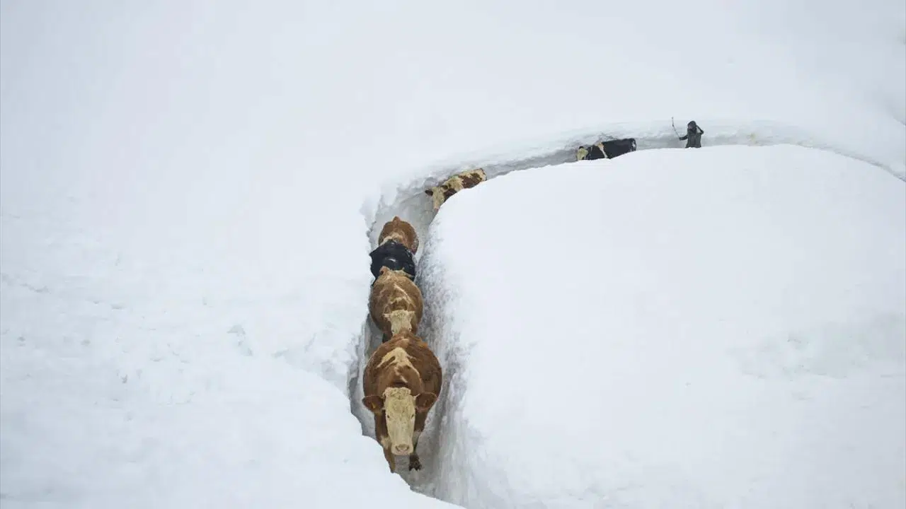 Kars Hava Durumu Nasıl? Bulutlu Hava Devam Edecek mi, Sıcaklık Eksi 16 Dereceye Kadar Düşecek mi?