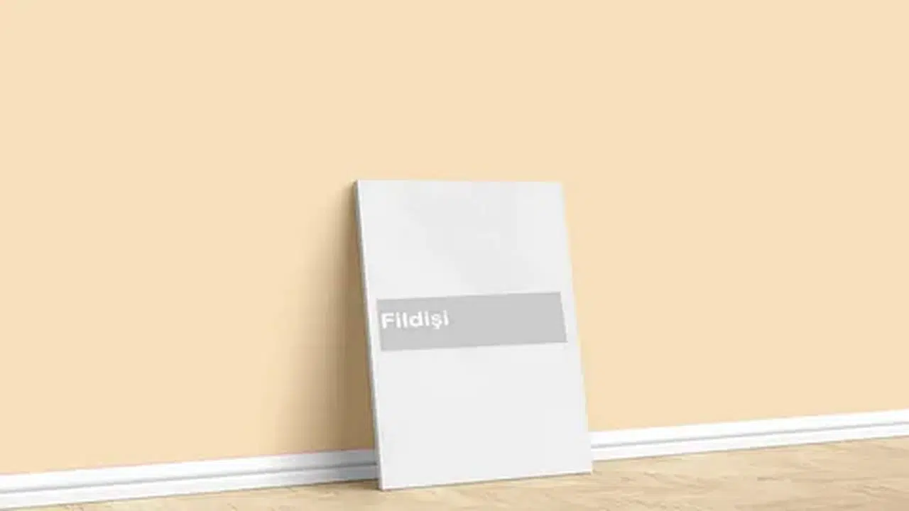 FİLDİŞİ RENGİ NASIL YAZILIR? Fildişi nasıl yazılır, fildişi ayrı mı yazılır birleşik mi, TDK’ye göre doğru yazılışı nedir?