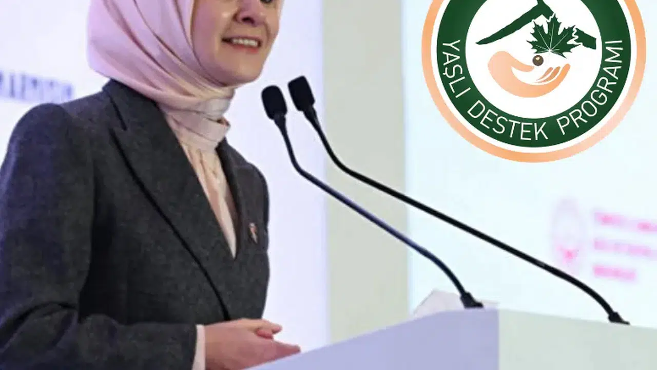 YADES programıyla Türkiye’de yaşlılar sosyal hayata dahil oluyor