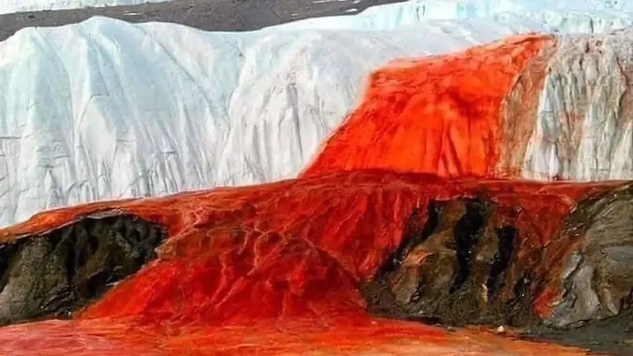 Taylor Buzulu’ndaki Kırmızı Akıntının Gizemi 100 Yıl Sonra Çözüldü!