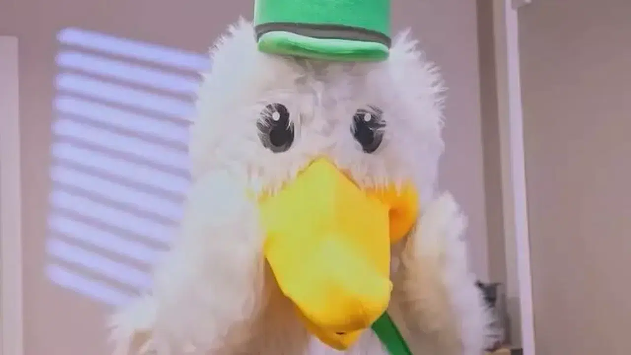 Maske Kimsin Sen Ördek Maskesinin Altındaki İsim Kim Çıktı?