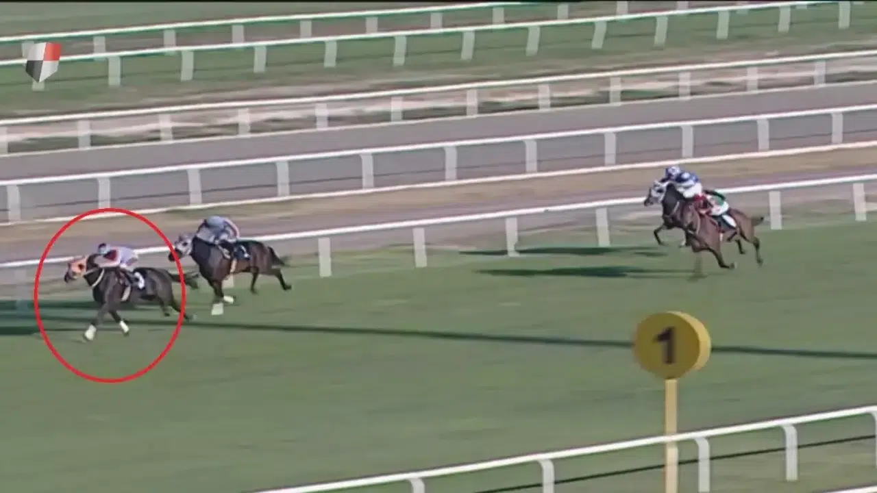 Aşevi Yemeğinden Yarış Atının Çipi Çıktı! Skandal Böyle Ortaya Çıktı