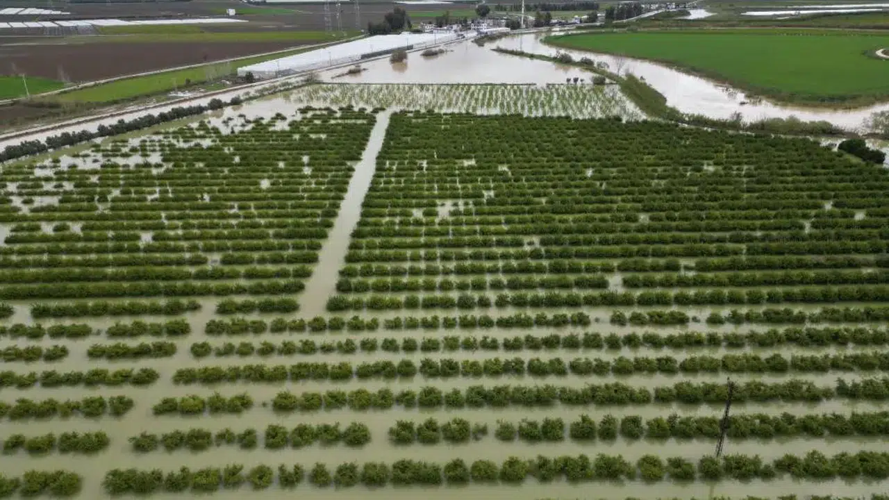 Tarsus’ta sağanak yağış tarım arazilerini vurdu