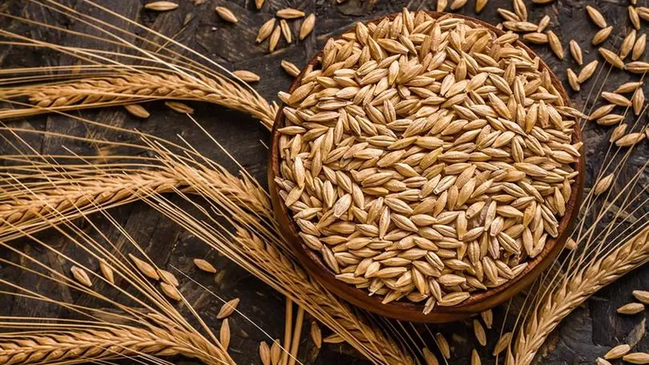 ARPA BUĞDAY 2026'DA KAÇ TL! Ekmeklik ve Makarnalık Buğday Ne Kadar Oldu, Yeni Hasat Fiyatı Ne Olur?