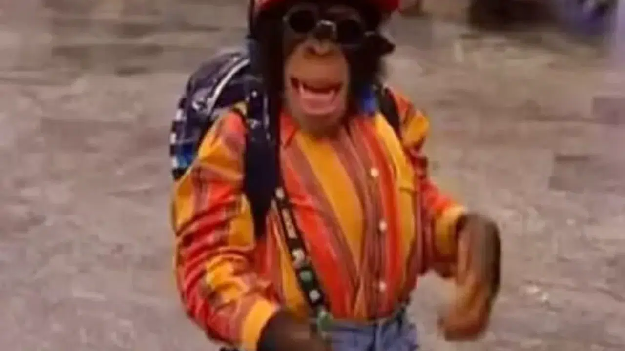 MAYMUN ÇARLİ ŞUAN YAŞIYOR MU! Şuan nerede, hangi ülkede?