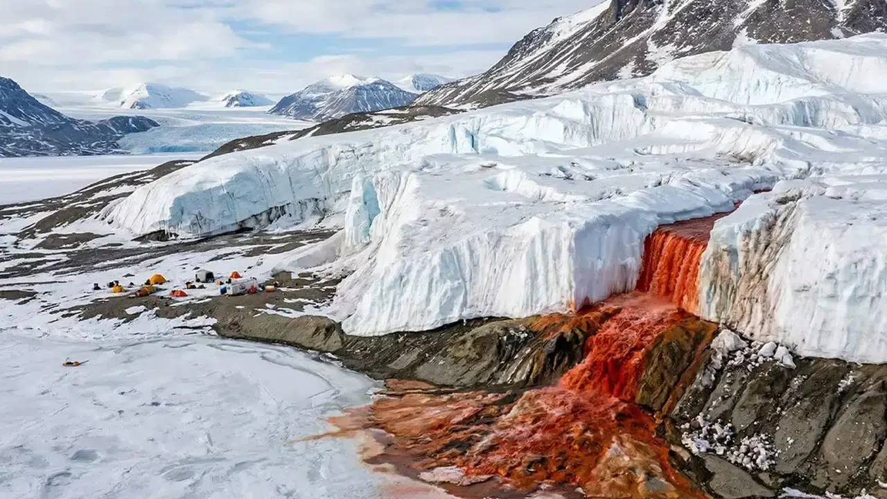 Antarktika’daki Kan Şelalesi’nin 100 Yıllık Gizemi Çözüldü